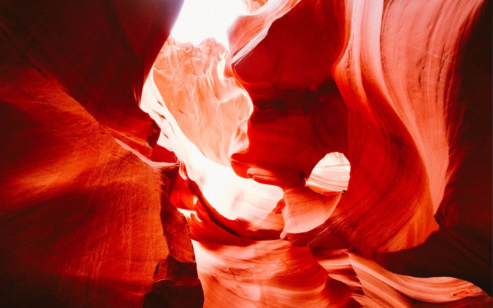 Anxiety. The Silent Crisis Of The Professional