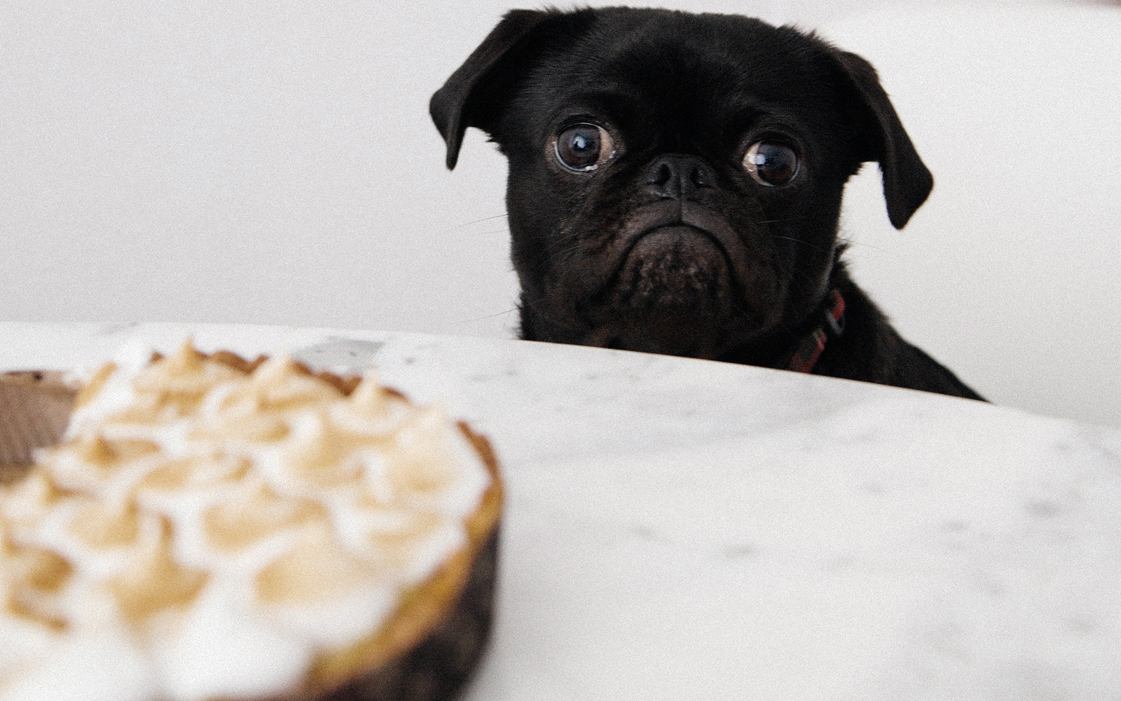 Female participants in a workshop sit in front of a graffiti wall.