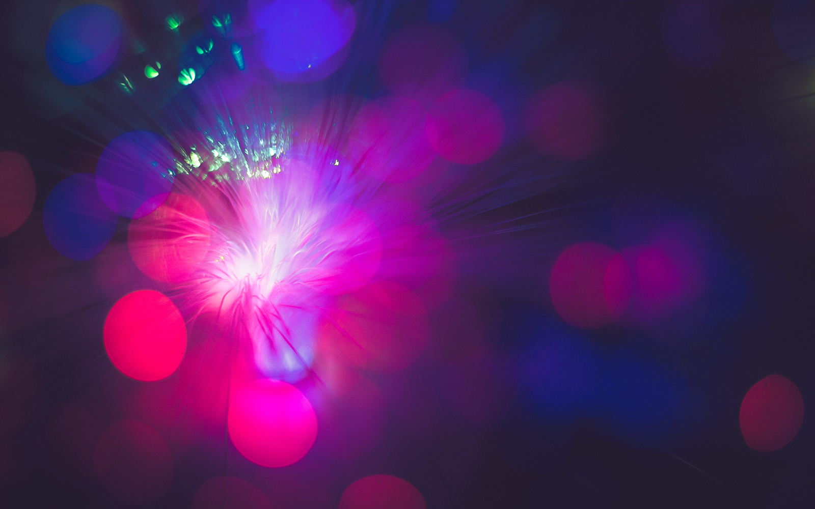 Experiment Your Way To Flourishing