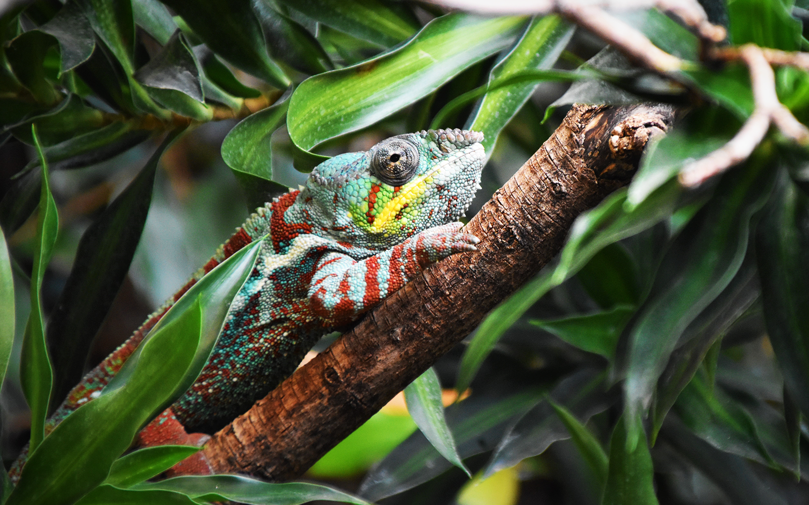 3 Ways To Become A More Adaptable Leader